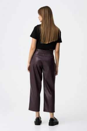  695 695 Violet
