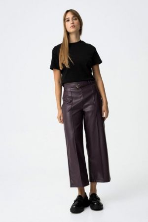  695 695 Violet