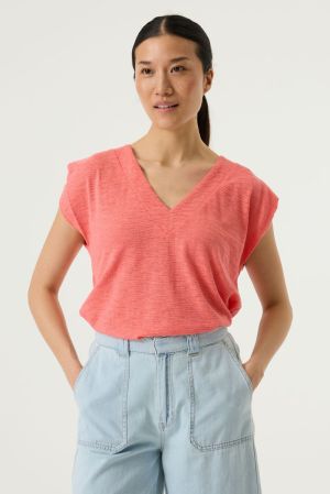  1005-coral crus