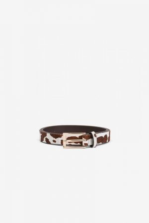  290 290 Chocola