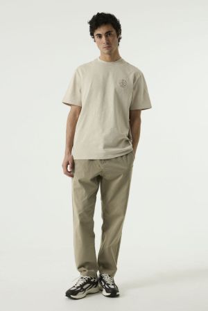  4156-roast cash
