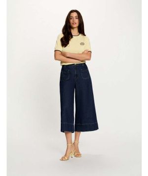  BLEU BLEU