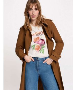  CAMEL CAMEL