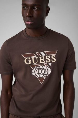 K6543 G1DL CHOCOLATE