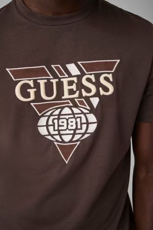K6543 G1DL CHOCOLATE